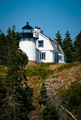 Bear Island Light Surrounded by Evergreen Trees in Maine